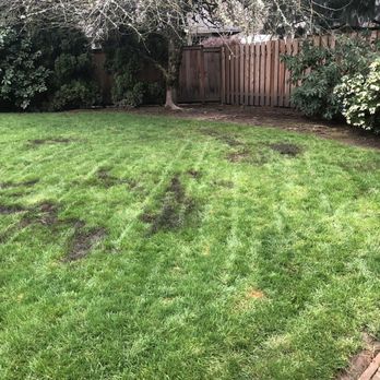 Creative Landcare - Back yard - Lawn Services Near Me - Sherwood, Oregon Creative Landcare - Back yard - Lawn Services Near Me - Sherwood, Oregon