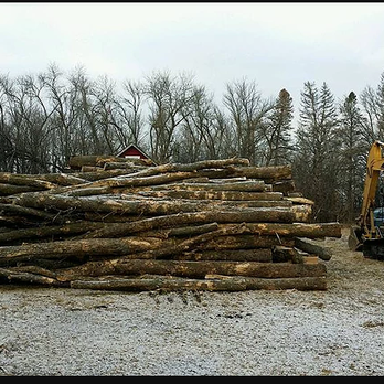Tyler's Tree Service - Tree Services Near Me - West Fargo, North Dakota Tyler's Tree Service - Tree Services Near Me - West Fargo, North Dakota