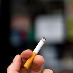 Tobacco Leaf