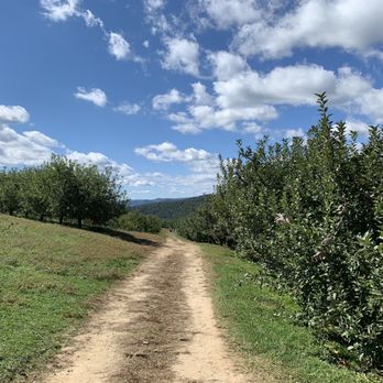 Sky Top Orchard - Pick Your Own Farms Near Me - Zirconia, North Carolina