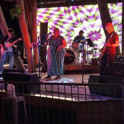 The Enchanted Forest Live