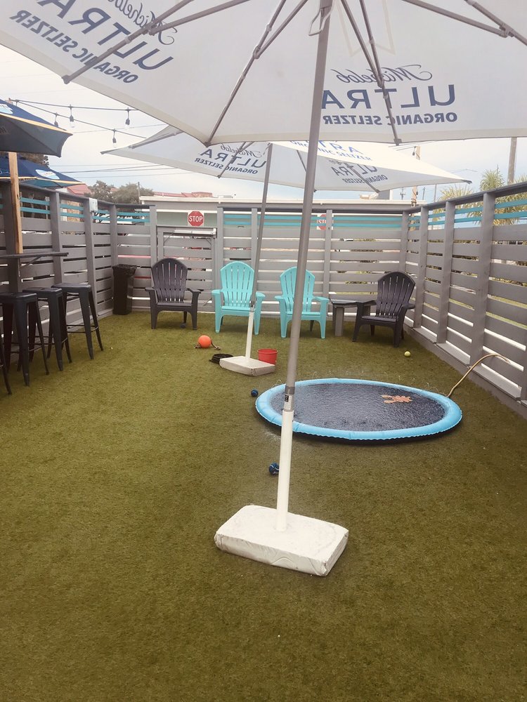 Dog Pub Social Dunedin Roadtrippers - O 