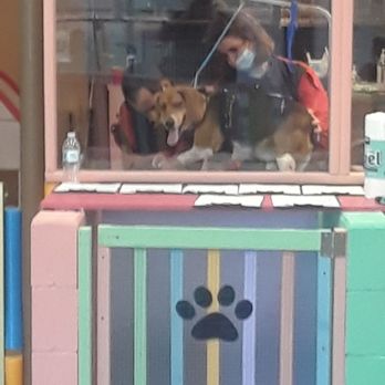 Barks and Bubbles Pet Grooming - Baby Gus getting his nails did - Pet Groomers Near Me - La Puente, California Barks and Bubbles Pet Grooming - Baby Gus getting his nails did - Pet Groomers Near Me - La Puente, California