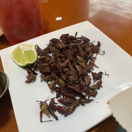 Grasshopper Grasshopper