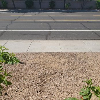 Arbor Care Tree Service - After - Tree Services Near Me