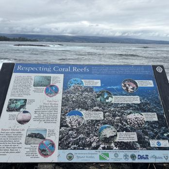 Richardson Ocean Park - There is coral here! - Beaches Near Me - Hilo, Hawaii Richardson Ocean Park - There is coral here! - Beaches Near Me - Hilo, Hawaii