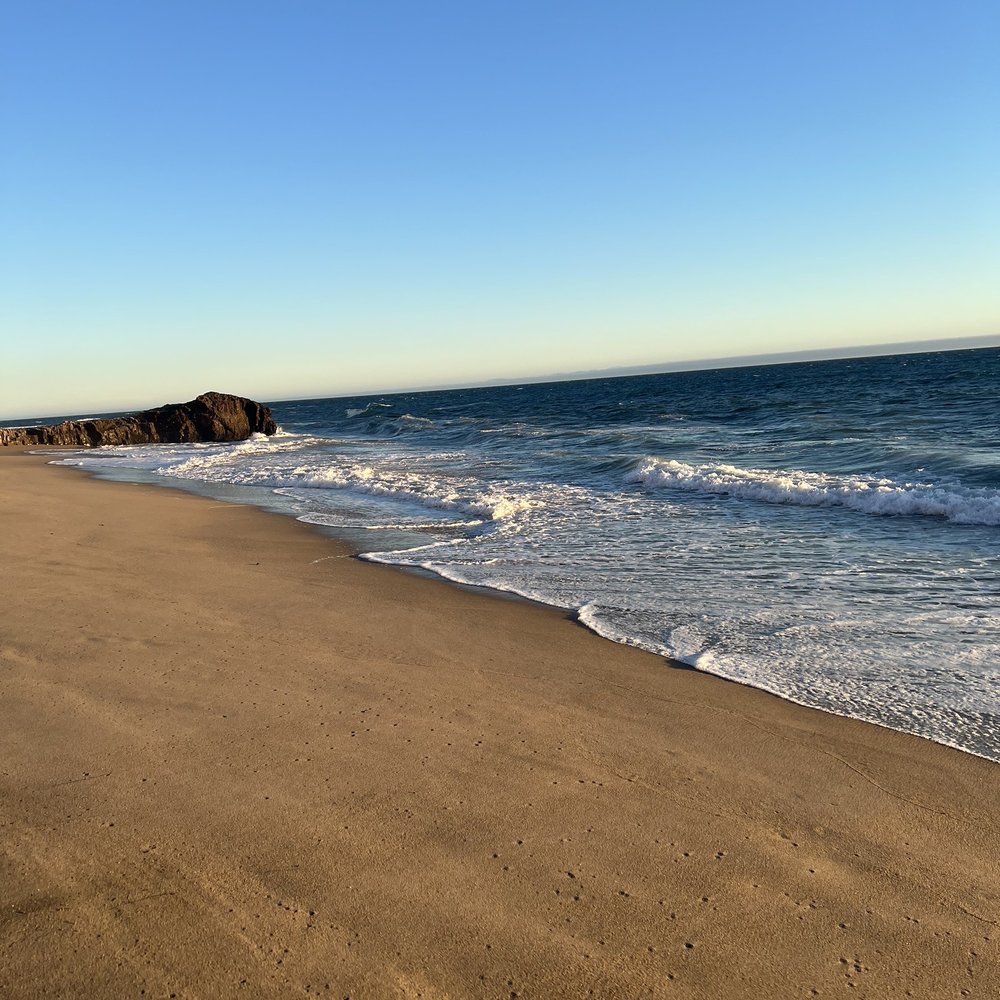 Scott Creek Beach - Beaches Near Me - Davenport, California