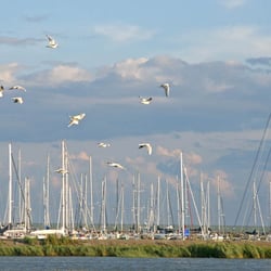 Skips Maritiem Stavoren Buitenhaven