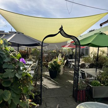 Café Leila - New American Near Me - Berkeley, California