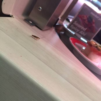Genki Sushi - Sushi Bars Near Me - Waipahu, Hawaii