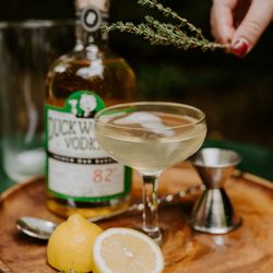 Duckworth Distillery - Lemon Duck (Duckworth's elevated Lemon Drop cocktail)