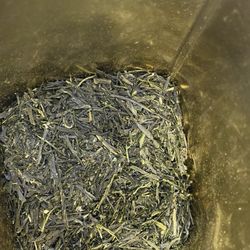 Savvy Tea Gourmet