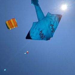 Newport Kite Festival