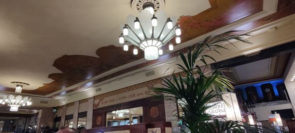 Brasserie Georges by null
