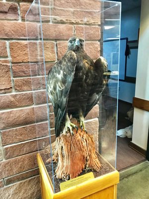 Kanab Visitor Center by null