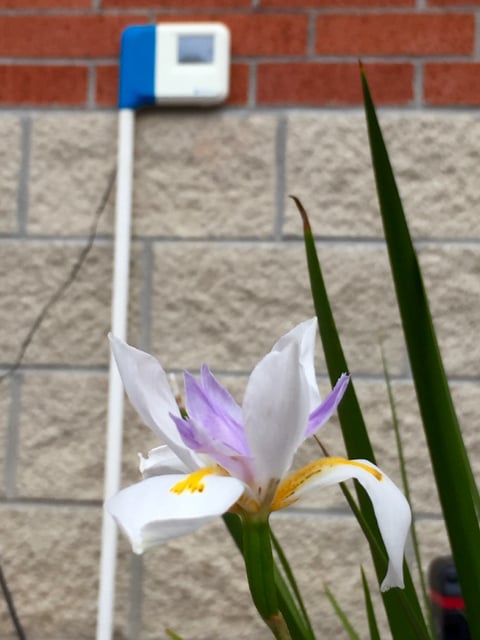 Slide of Green Power 4 Texas