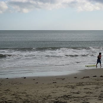 New Brighton State Beach - Parks Near Me - Capitola, California New Brighton State Beach - Parks Near Me - Capitola, California