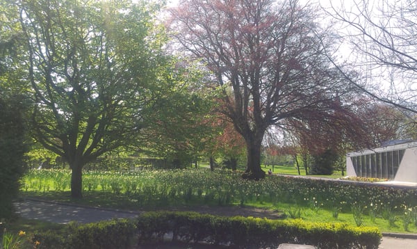 People's Park by null