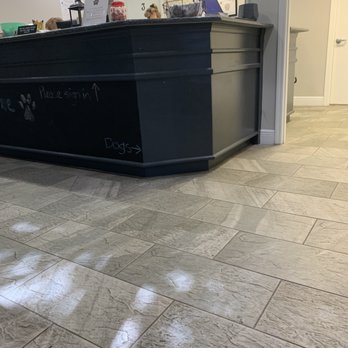 VCA Clermont Animal Hospital - Veterinarians Near Me - Clermont, Florida VCA Clermont Animal Hospital - Veterinarians Near Me - Clermont, Florida