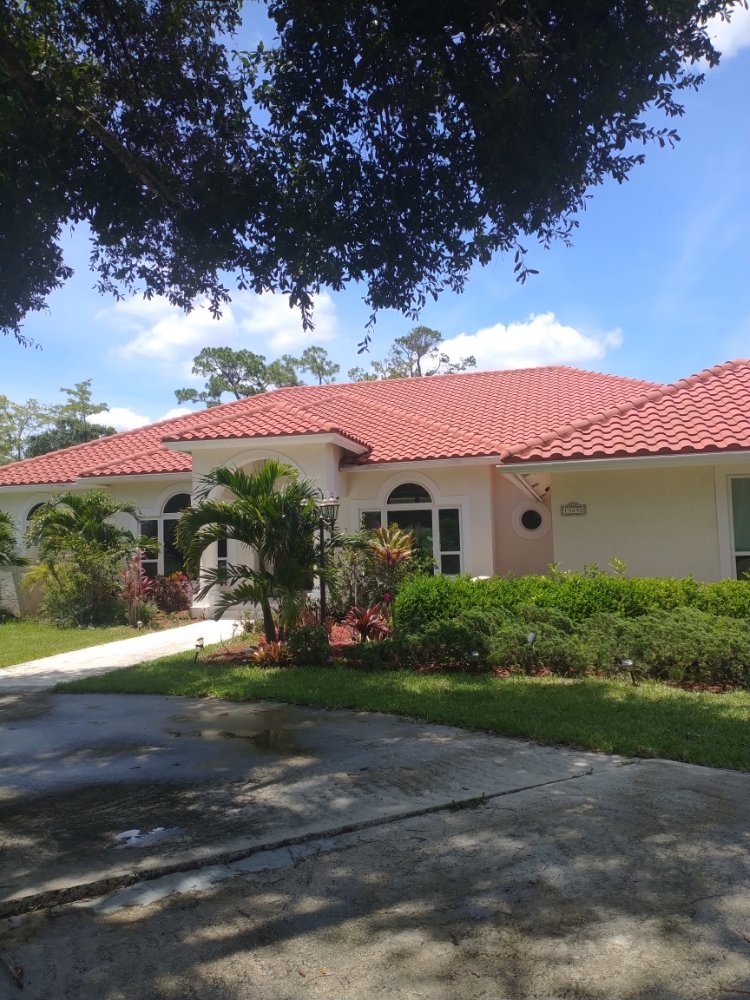 Slide of Elite Roof Cleaning