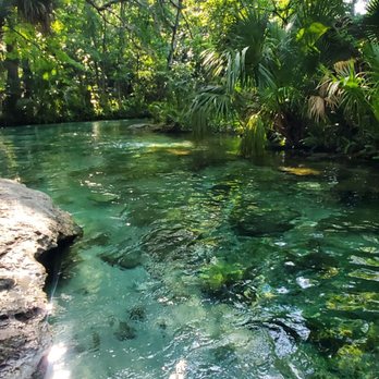 Kelly Park - Lazy River - Hiking Near Me - Apopka, Florida Kelly Park - Lazy River - Hiking Near Me - Apopka, Florida