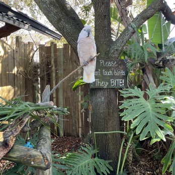 Gatorland - Bird enclosure - Zoos Near Me - Orlando, Florida Gatorland - Bird enclosure - Zoos Near Me - Orlando, Florida