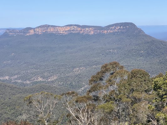 Blue Mountains National Park by null