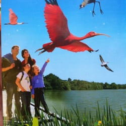 Camping  Parc des Oiseaux