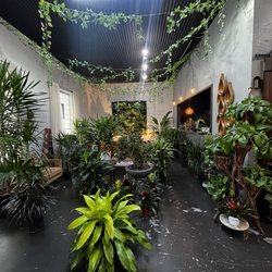 Energy Gardens Terrariums - Lovely lounge