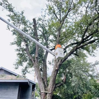Aaron's Perfect Cut Tree Service - Tree Services Near Me Aaron's Perfect Cut Tree Service - Tree Services Near Me