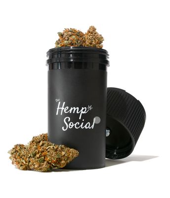 The Hemp Social - Downtown THC, CBD, KRATOM, KAVA, WELLNESS MUSHROOMS, NOOTROPICS & MAD HONEY! by null