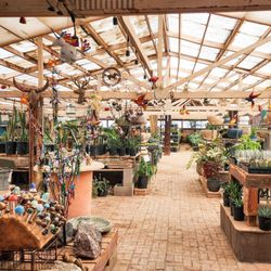 Desert Foothills Gardens Nursery