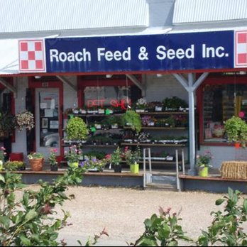 Roach Feed & Seed - untitled - Pet Stores Near Me - Garland, Texas