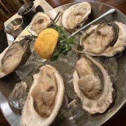 BLVD OYSTERS BLVD OYSTERS