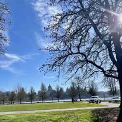 City of Olympia - Beautiful day in Olympia today!