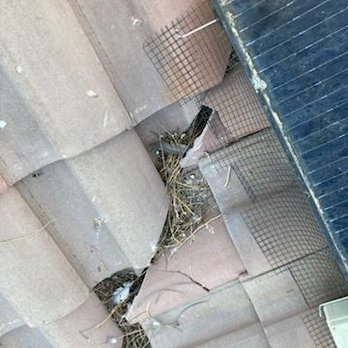 Rowan Solar Cleaning - Solar Installation Near Me Rowan Solar Cleaning - Solar Installation Near Me