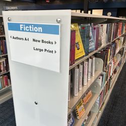 Columbus Metropolitan Library - Marion Franklin Branch - New books at new library.