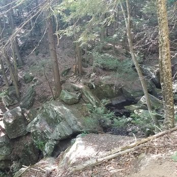 Enders State Forest - Parks Near Me - Granby, Connecticut