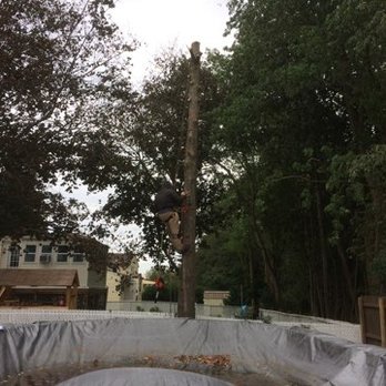 Mic Maintenance - a man working on a power pole - Tree Services Near Me - South River, New Jersey
