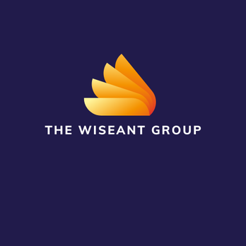 THE WISEANT GROUP - Accountants Near Me THE WISEANT GROUP - Accountants Near Me