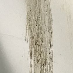 Snap Fitness - Close up of the nasty stuff.