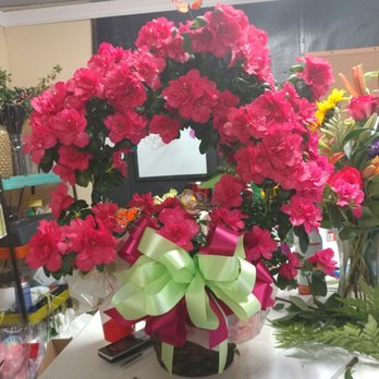 Three Lady Bugs Florist & More - This enchanting Azalea is like a gateway to a secret garden - Florists Near Me - Conroe, Texas