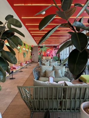 Night Swim Rooftop Bar by null