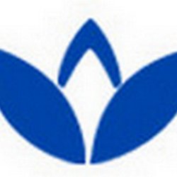Allexi Chiropractic, Acupuncture and Wellness Center