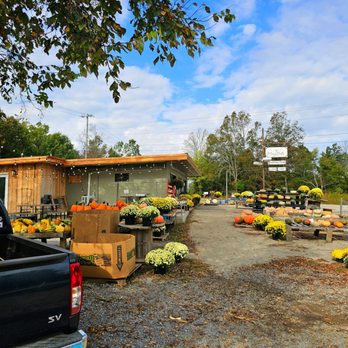 MaryBells - Coffee & Tea Near Me - Centerville, Tennessee MaryBells - Coffee & Tea Near Me - Centerville, Tennessee