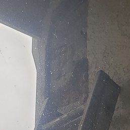 Opening of the wall to get to the bees