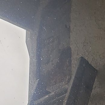 Bee Removal - Opening of the wall to get to the bees - Pest Control Near Me