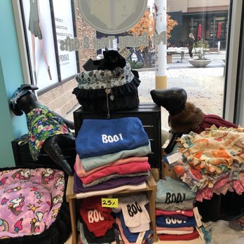 It's so Fluffy - Pet Stores Near Me - Aurora, Illinois