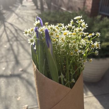 Hui Flower - I like colors - Flowers & Gifts Near Me - New York, New York Hui Flower - I like colors - Flowers & Gifts Near Me - New York, New York