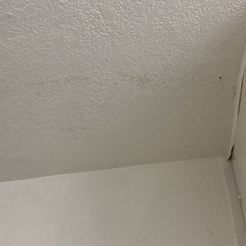 Motel 6 - Mold anyone - Hotels Near Me - Pompano Beach, Florida
